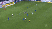 grifo GIF by nss sports