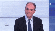 mimique GIF by franceinfo