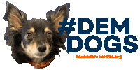 texasdemocrats dog puppy dogs texas Sticker