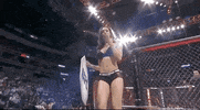 Sport Mma GIF by UFC
