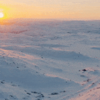 Summer Remember GIF by Learner Circle