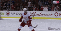 ice hockey GIF by NHL