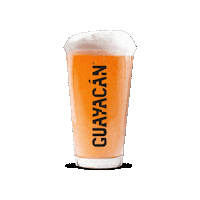 Guayacán Schop Ipa Sticker by Cerveza Guayacán