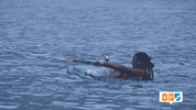fail at&t GIF by @SummerBreak