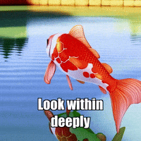 Self-Discovery Introspection GIF by TheConfishius