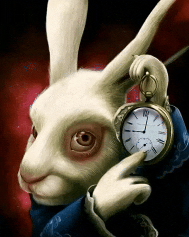 White Rabbit Its Only A Matter Of Time GIF