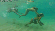whats count GIF