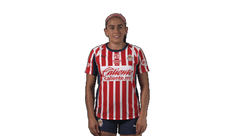 Liga Mx Futbol Sticker by Chivas Oficial