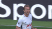 london football GIF by Tottenham Hotspur