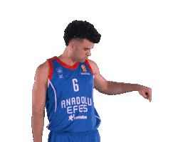 Click Euroleague Basketball Sticker by Anadolu Efes SK