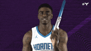 Florida State Sport GIF by Charlotte Hornets