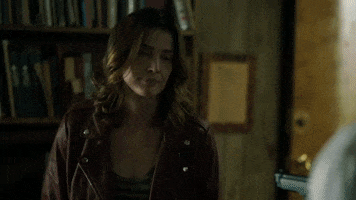 Fight Scene Stumptown GIF by ABC Network