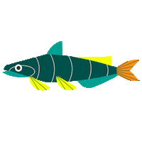 ocean fish Sticker by Take Me Fishing