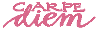 Seize The Day Sticker