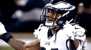 2018 nfl football GIF by NFL