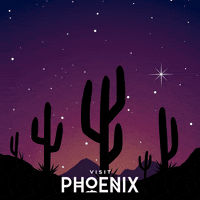 Desert Arizona GIF by Visit Phoenix