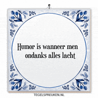 Humor Vrolijk GIF by Tegelspreuken.nl