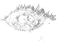 eye blinking Sticker by Elohim