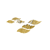 Scandal Stefi Sticker by HYBRID Performance Method