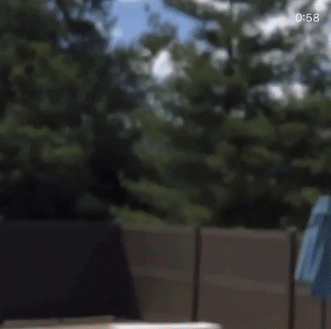 laniewoods giphygifmaker GIF