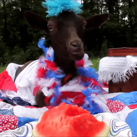 Sweet Goat is All Set For Independence Day