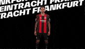 Bundesliga Sign GIF by Eintracht Frankfurt