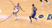 golden state warriors behind the back GIF