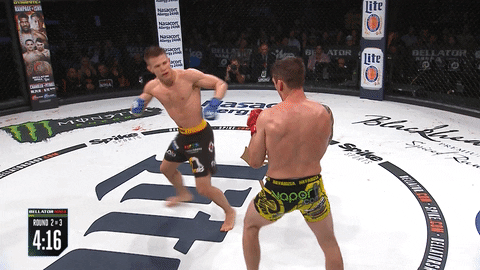 GIF by Bellator