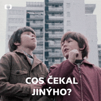 Ceskatelevize What GIF