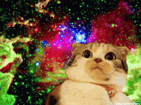 lsd wtf GIF