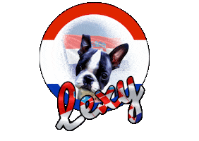 Boston Terrier Croatia Sticker by Pimp Yo Pets
