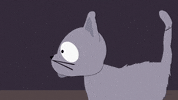 cat looking GIF by South Park 