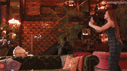 seth meyers dancing GIF by Late Night with Seth Meyers