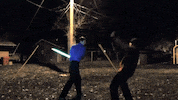 GIF by World’s Funniest