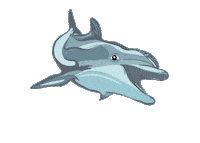 Winter Dolphin Sticker by Clearwater Marine Aquarium