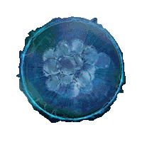 Recovery Aplicacao Sticker by Equipamentos médicos para estética corporal e facial