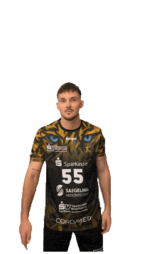 Bundesliga Handball Sticker by hcelbflorenz