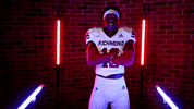 Hall Arms Crossed GIF by Richmond Spiders