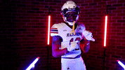 Sway Hall GIF by Richmond Spiders