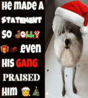 Christmas Funny Dog GIF