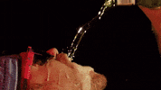 Sexy Party GIF by Pit Viper