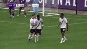 South Carolina Goal Celebration GIF by Charleston Battery