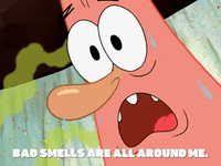 season 6 giant squidward GIF by SpongeBob SquarePants