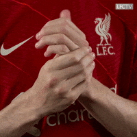 Premier League Reaction GIF by Liverpool FC