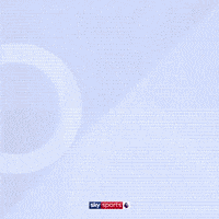 Goal Epl GIF by skysports