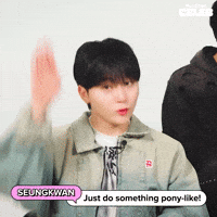 K Pop Pony GIF by BuzzFeed
