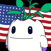 Proud American Flag GIF by Magic Eden