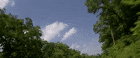 arkansas GIF