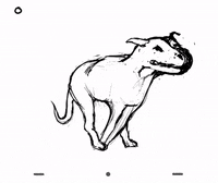 alexboya  GIF