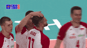 GIF by Volleyball World